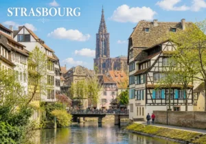Image de couverture montrant un intérieur moderne et une touche décorative, évoquant l'immobilier du Grand Est.