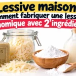savon de marseille et flocons